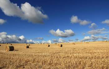 Clearwater County Real Estate Clearwater County Real Estate